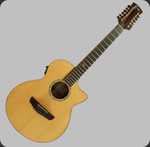 Epiphone 12 String Guitar